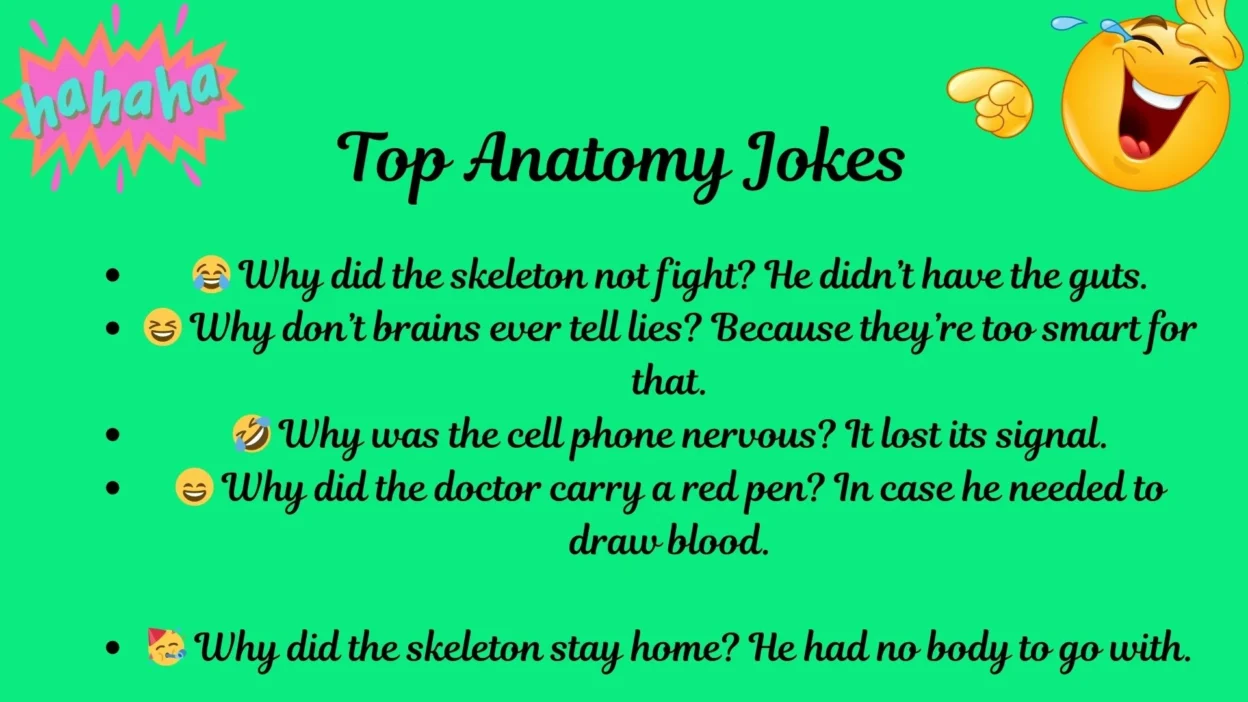 Anatomy Jokes