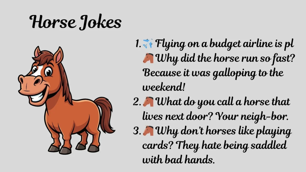 horse-jokes