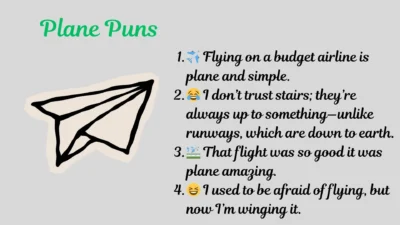 Plane Puns